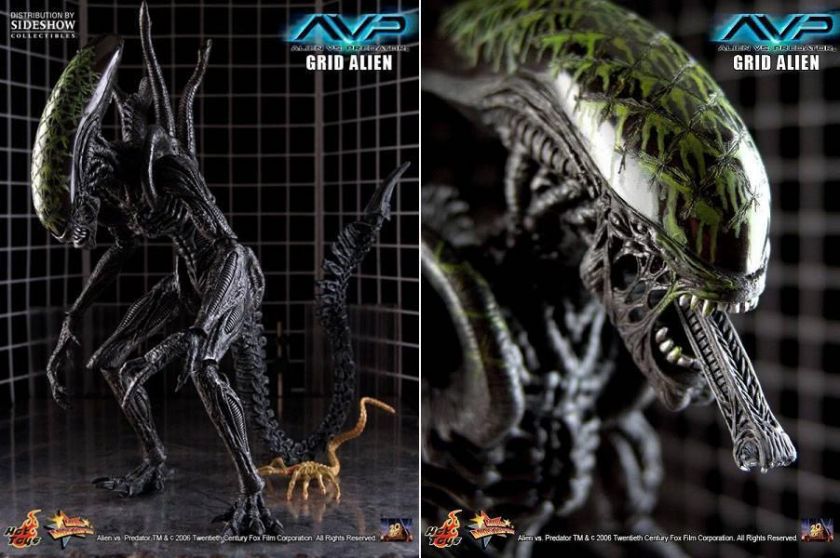 HOT TOYS 1/6 ALIEN VS PREDATOR AVP GRID ALIEN MMS28  