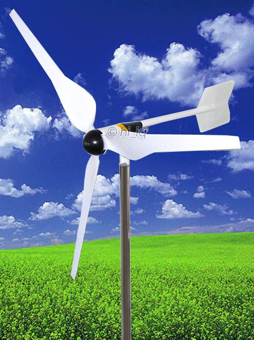 Max 300 Watt 12 V Wind Turbine Generator + Controller  
