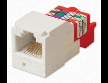 SINGLE XPORT JACK IVORY