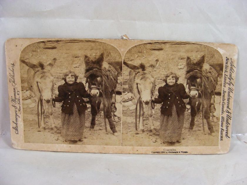 COMRADES Strohmeyer & Wyman Stereoscope Card Vtg 1894  