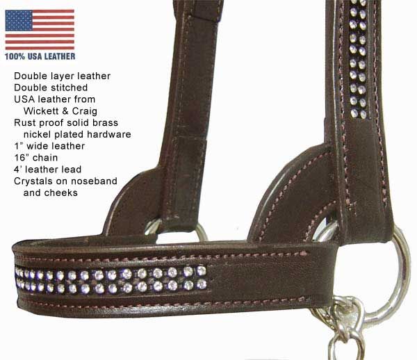 Crystal USA Leather Cattle Show Halter w/Lead BK Heifer  