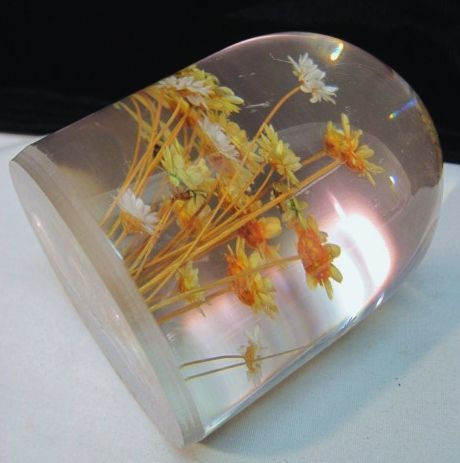 VINTAGE LUCITE ACRYLIC RESIN~REAL WILD FLOWERS PAPERWEIGHT~MAGNIFIED 