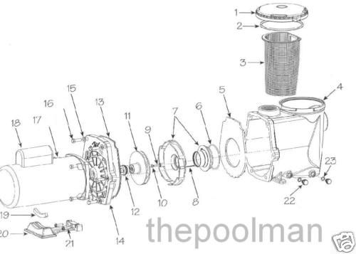 Waterway Champion Swimming Pool Pump Diffuser 310 7470  