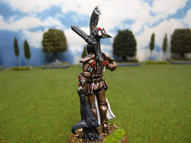 Warhammer DPS painted Inquisitor Daemon Huntress CH1262  