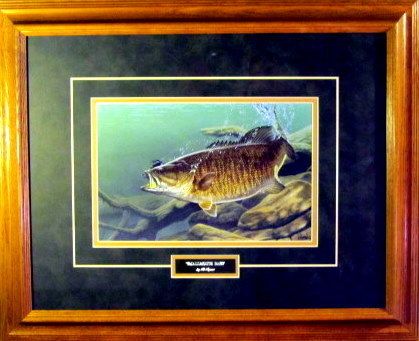 Al Agnew Smallmouth Bass Framed print  