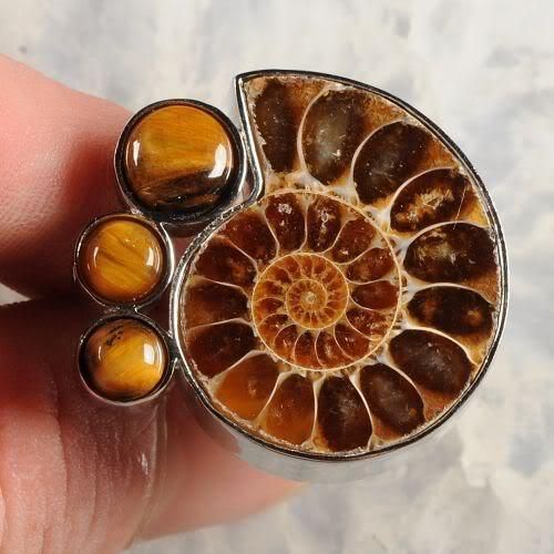 g0589 Multi gem ammonite fossil adjustable ring  