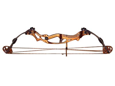 Hoyt UltraElite Bow  