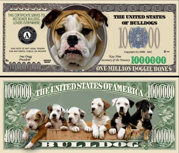 COMMEMORATIVE BULL DOG DOLLAR BILL W/PROTECTOR  