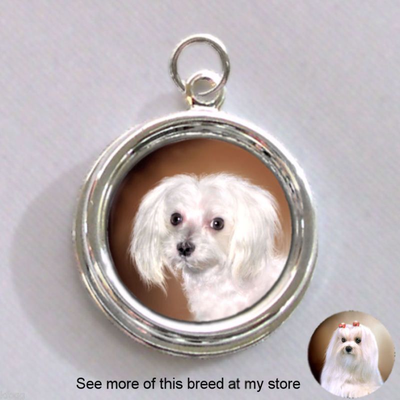 Maltese DOG Pet Cut Silver CHARM   PENDANT  