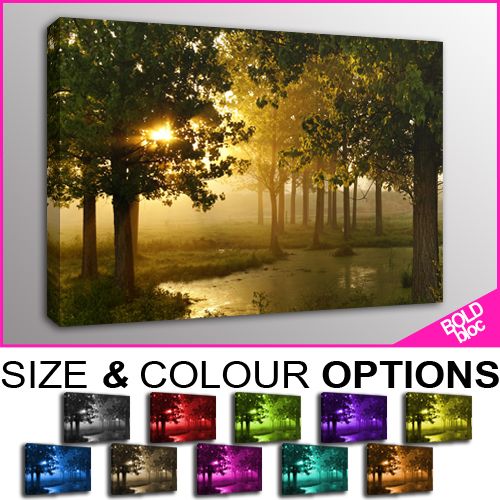 PREMIUM NEW   Landscape Forest   10 COLOURS / SIZES  