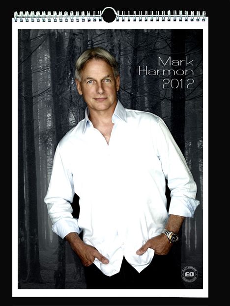 MARK HARMON 2012 WALL HOLIDAY CALENDAR NCIS  