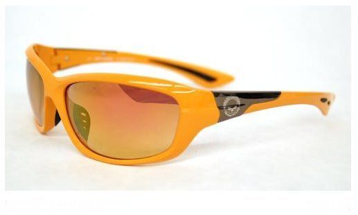 HARLEY DAVIDSON WILLIE G SKULL SUN GLASSES RIDING *NIP*  