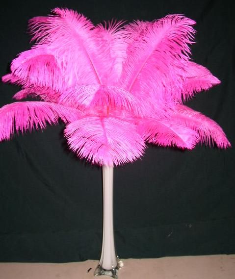 Ostrich HOT PINK 100 Feathers Eiffel Tower Vase 12 16  