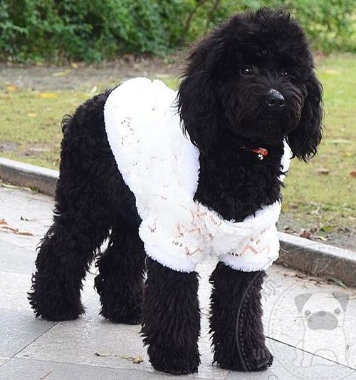 Luxury White Sequins Fur Coat Jacket Dog Clothes Apparel 5 Size  